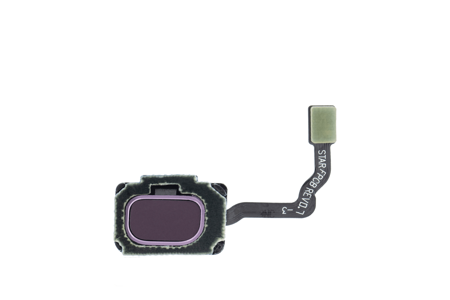 SAMSUNG S9 - S9 PLUS PARMAK İZİ FLİMİ MOR