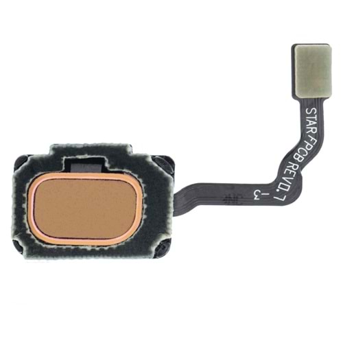 SAMSUNG S9 - S9 PLUS PARMAK İZİ FİLM GOLD